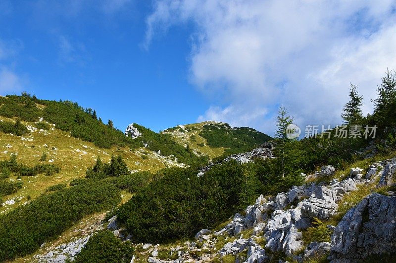 斯洛文尼亚戈伦杰斯卡的朱利安阿尔卑斯和特里格拉夫国家公园的Debela Pec山顶的高山景观